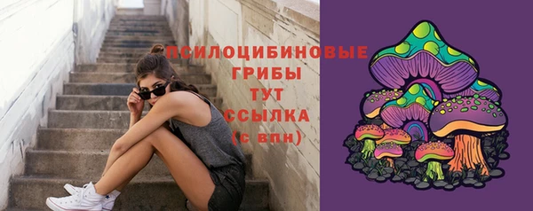 мескалин Михайлов