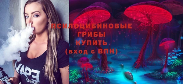 спиды Михайловск